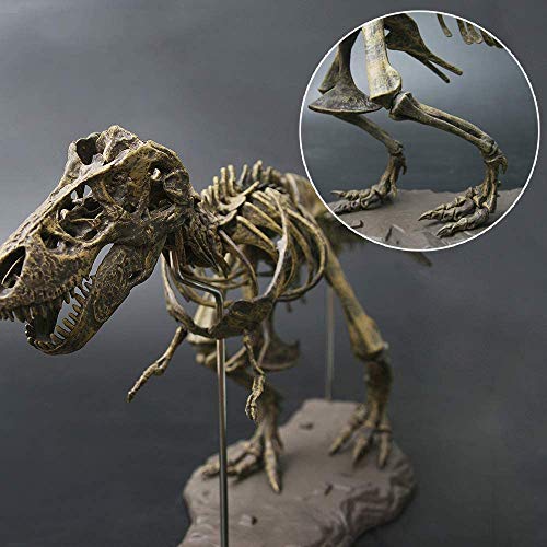 Jinhua Yiyan 3D T-Rex Dinosaur Skeleton Model Puzzles Pre-School Teaching Simulation Educational Toy Soft Non-Toxic Pvc Material Gifts #TOP5