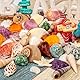 SKOOLOVE Natürliches Muschel-Set, Verschiedene Größen, 2–6,5 cm, Muscheln, Schneckenhäuser und Seesterne – für Strandpartys, Bastelarbeiten, Aquarien, Vasenfüllungen und Hochzeitsdekorationen