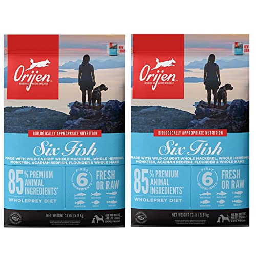 Top 10 Six Fish Dog Food Review and Buying Guide to Keep Your Pup