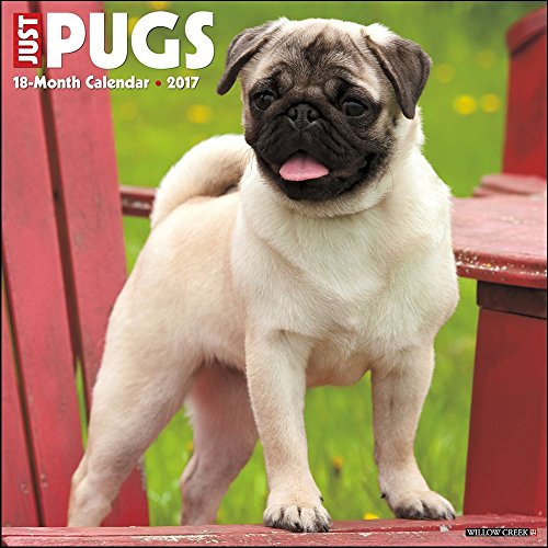 Just Pugs 2017 Wall Calendar (Dog Breed Calendars)