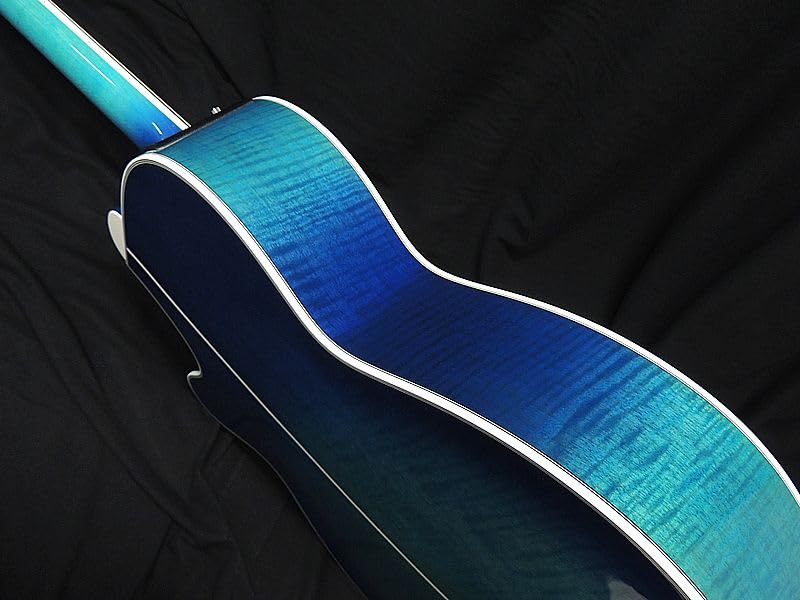Amazon | Takamine FPT181AC SBB タカミネ アコースティックギター
