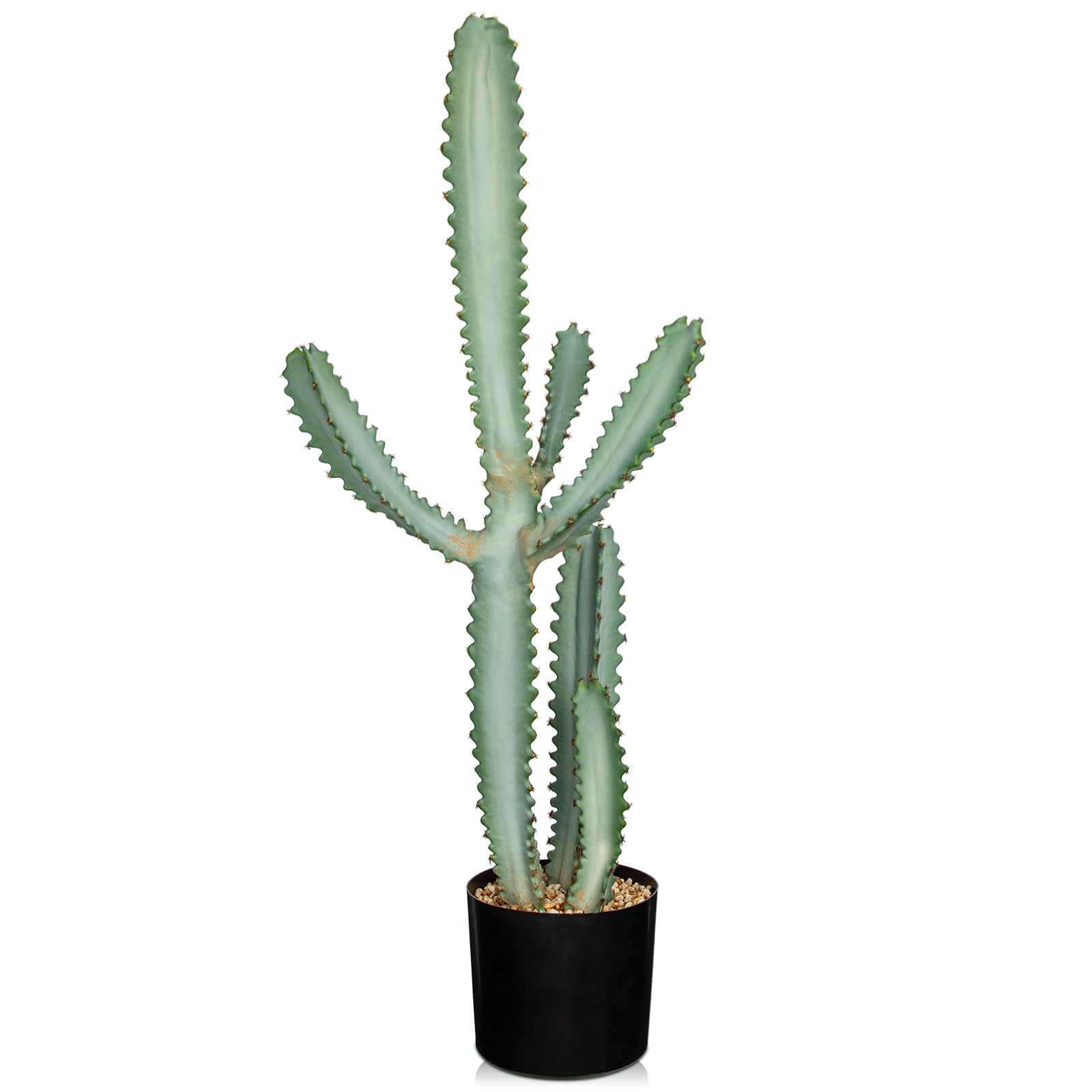 kaktus fleischige blätter Kaktusblätter Nopales kaufen main image 1