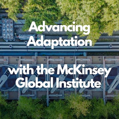 Advancing Adaptation with the McKinsey Global Institute