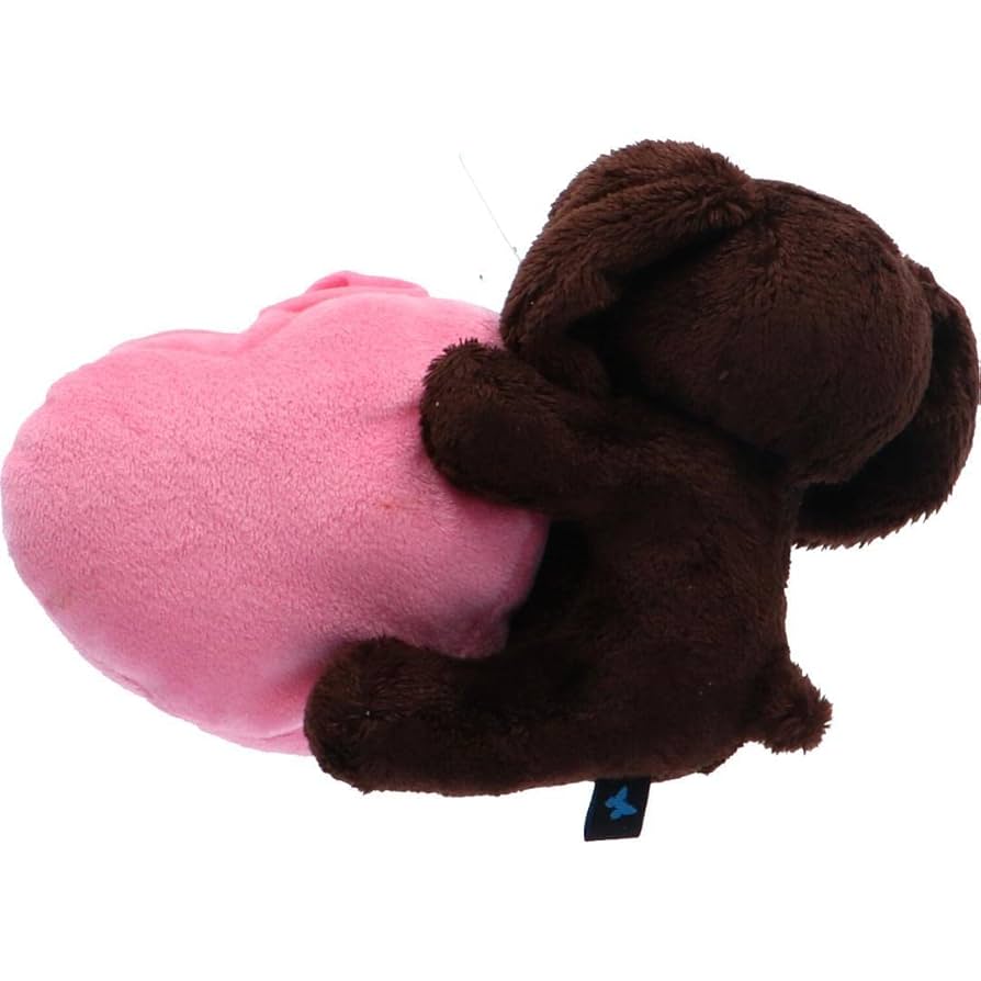 チャン・グンソク人形 Amazon.co.jp: チャン グンソク 公式渋谷