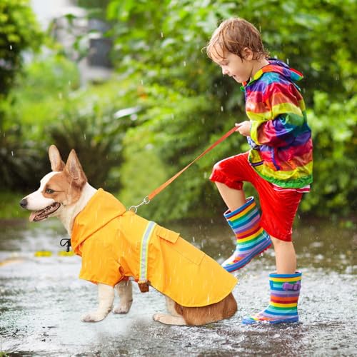 Amexo Hunderegenmantel mit Reflektierenden Streifen Wasserdichter Hundemantel mit Kapuze Verstellbare Regenjacke mit Kragenloch für Kleine Mittelgroße und Große Hunde (M)