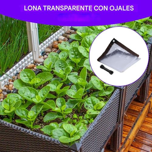 Toldo Transparente para Muebles de Patio y Protección de Invernadero 4