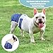 wegreeco Frenchie Dog Diapers Female No Tail Hole,Washable Pet French Puppy Bulldog Diapers Female for Period Heat,Reusable Doggy Doggie Dog Diapers （Jeans Large）