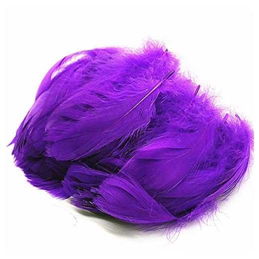100 st Natural Goose Feathers plumes 8-12cm Färgglada svanfjäderplume för heminredning hantverk DIY smycken dekoration (Cor : Purple 100pcs)