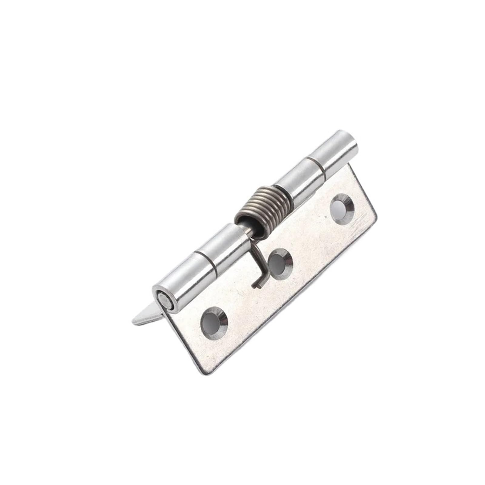 Wsqhao One Color 10Pcs Self-Closing Spring Door Hinges Stainless Steel For Cabinet Box Hardware Accessories For Doors(2.5 Inch)