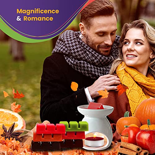 Wax Melts Variety And Fall - 12 Fragrance X 6 Cubes - Lavender, Vanilla, Rose, Apple Cinnamon, Lilac, Black Cherry, Pumpkin Spice, Apple Cinnamon, Orange Clove, Autumn Leaves, Eucalyptus Coffee Cake #TOP6