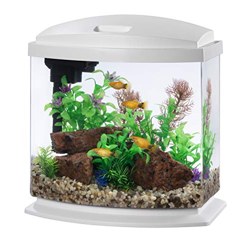 Aqueon LED MiniBow Aquarium Kit with SmartClean Technology, White, 2.5 Gallon by Aqueon - Used condition - US$44.71