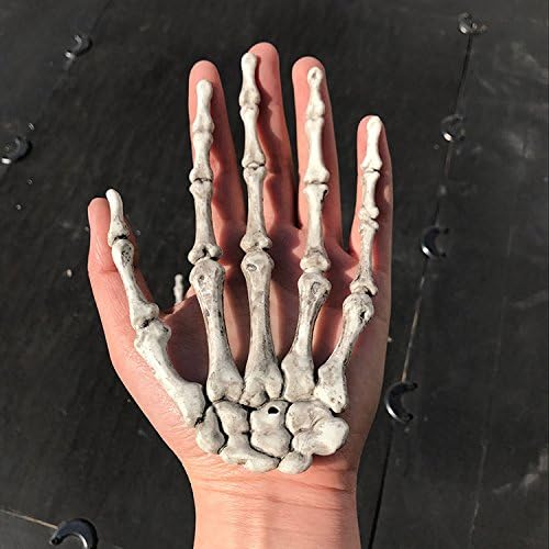 51YNYCIgBnL._AC_ Hosfairy 1 Pair Halloween Skeleton Hands Plastic Hand Skeleton Model for Halloween Decoration Terror Spooky Props (As Picture)