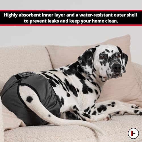 Image of FINNERO Brenda Reusable Dog Diaper, Leak-Proof, Adjustable, Heat & Incontinence Protection, L - Gray