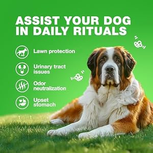 Grass Burn Spot Chews for Dogs - Dog Urine Neutralizer for Lawn - Grass Savers for Dog Urine - Dog Pee Lawn Spot Saver Caused by Dog Urine - Grass Treatment Rocks - Probiotics, Enzymes & Multivitamins Grass Burn Spot Chews for Dogs – Dog Urine Neutralizer for Lawn – Grass Savers for Dog Urine – Dog Pee Lawn Spot Saver Caused by Dog Urine – Grass Treatment Rocks – Probiotics, Enzymes & Multivitamins