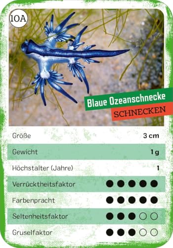 Das verrückte Quartett: Tier-Quartett und Trumpf-Kartenspiel | Spielspaß für Kinder ab 8 Jahren