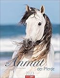 Die Anmut der Pferde 2023. Jahres-Wandkalender 2023 mit Pferdefotos perfekt in Szene gesetzt von Christiane Slawik. Tierkalender 2023 für Pferdeliebhaber mit Zitaten