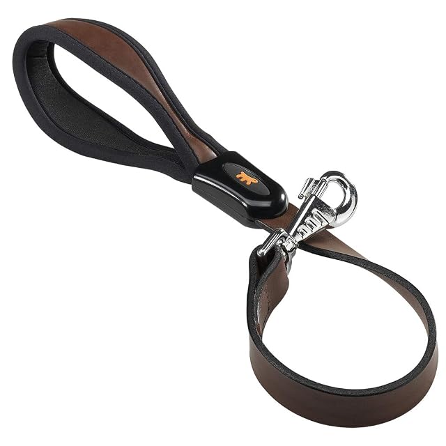 Ferplast 76107058 Lederleine Giotto GM25/60, für Hunde, Breite: 2,5 cm, Länge: 60 cm, Braun