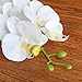 Jasming 4pcs Real Touch Orchid Flowers Artificial Branches Green Stems Arrangement for Wedding Home Garden Decoration (White)