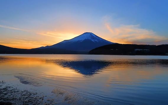 ランキング１位受賞 絵画風 壁紙ポスター 虞美人草 日没 夕陽 夕焼け サンセット 花畑 窓仕様 Ssst 004ma1 A1版 0mm 585mm 驚きの安さ Carlavista Com