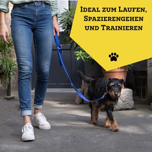 vitazoo Hundeleine in rot, fest und verstellbar in 4 Längen - geeignet für große und Starke Hunde - Hundeleine, Doppelleine - Gesamtlänge 2m
