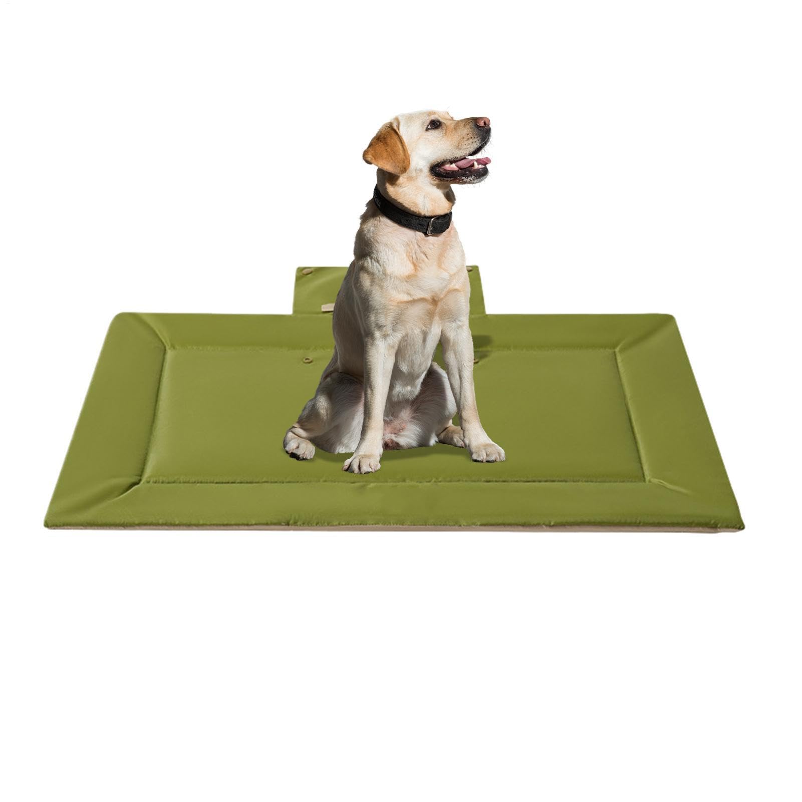Cama viajera para perro con cojín plegable para vacaciones y camping