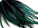 10 Pieces - Peacock Green Laced Long Rooster Cape Feathers Fly Tying Whiting BLW Rooster Saddle | Moonlight Feather