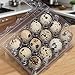 ZEONHAK 150 Pack 12 Cells Clear Quail Egg Cartons, PVC Stackable Egg Storage Box for Storing Eggs of Quail, Pheasant, Pigeon, Grouse
