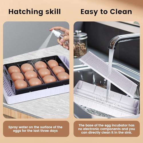 MUALROUS Incubators for Hatching Eggs Poultry Automatic Egg Incubator 12-35 Eggs Smart Chicken Incubators Automatic Egg Turning for Hatching Chicken Quail Duck Bird Eggs - Image 6