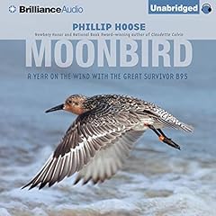 Moonbird Audiolibro Por Phillip Hoose arte de portada