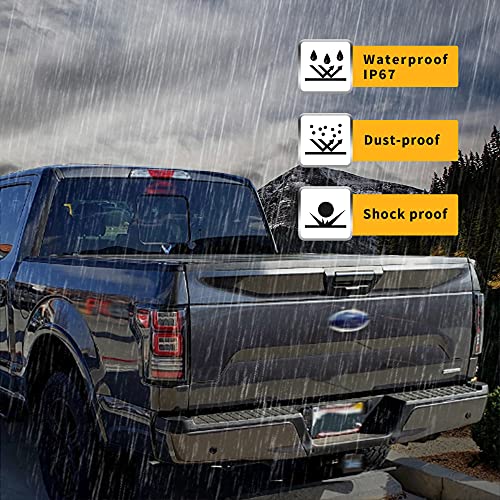 Vland Led Tail Lights Compatible With Ford F-150/ Raptor 2015-2019 Factory Halogen Pickup Truck W/Red Turn Signal (Not Fit A Xlt/Lariat, Factory With Bliss), Clear #TOP6