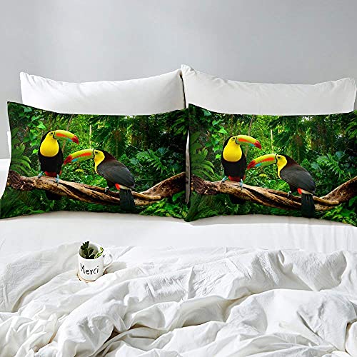 3D Toucan Duvet Cover Safari Animals Printed Bedding Set Tropical Jungle Birds Comforter Cover For Kids Boys Girls Standing On The Tree Trunk Fresh Nature Quilt Cover With 2 Pillowcases Queen Green #TOP4