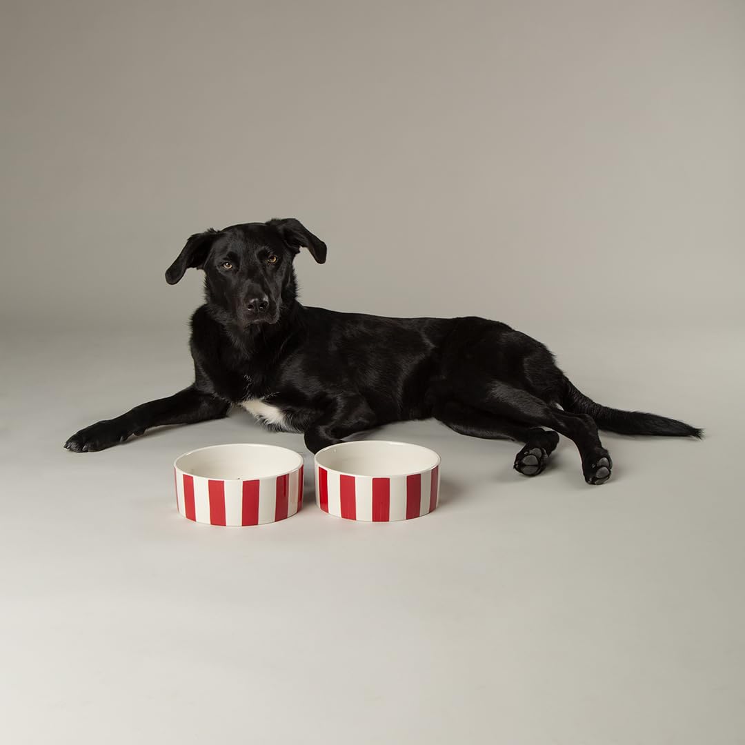 Amalfi Striped 2 Piece Dog Bowl Food & Water Bowl Set - Red - 15cm