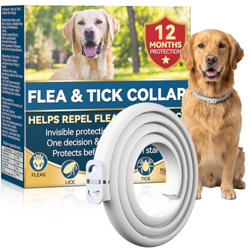Collare Antiparassitario per Cani 65cm con Oli Essenziali di Citronella e Lavanda, Collare Antipulci Cane Naturale contro Pulci e Zecche, Adatto per Cani di Media e Grande Taglia