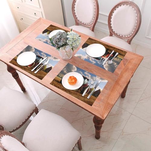 Sets de table rectangulaires 30x45cm lot de 4 en PVC lavable résistant - 6