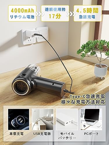 Lodick ハンディクリーナー LT-125C の商品画像 4