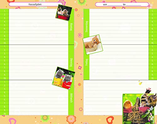 Color-Hausaufgabenheft für Schlaue Schmusekätzchen: A5, 96 Seiten, mit extra starkem Klarsichtumschlag - Image 3