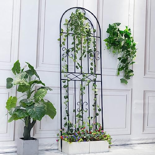 Gran soporte de pared inoxidable para solucionar la caída de rosales 7