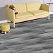 Produktbild Euroharry PVC Vinyl-Bodenbelag Laminat Dielen 2mm Vinylboden Designboden Fußböden 1m² Wasserfest/Rutschfest (V5 Zedernholz Hellgrau)