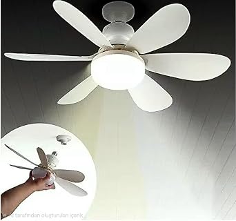 Begin 6 Kanatlı tavan vantilatör uzaktan kumandalı led ışıklı [Enerji Sınıfı F]