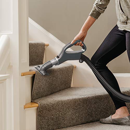 Shark Navigator Self-Cleaning Brushroll Pet Upright Vacuum (ZU62C) - Canadian Version, 35 x 30.3 x 77 cm by Shark - Image 4