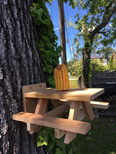Squirrel Picnic Table Feeder - Entertaining Squirrel Bench for Fence or Tree | Made in USA with Premium Cedar | Works with Corn Cob or Apples | Hanging Mini Picnic Table for Squirrels Easy to Install