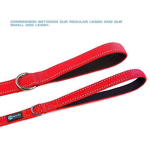 Max And Neo Small Dog Reflective Nylon Dog Leash - We Donate A Leash To A Dog Rescue For Every Leash Sold (Red, 6X5/8) #TOP2