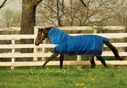 DELTA Turnout Waterproof Horse Blanket