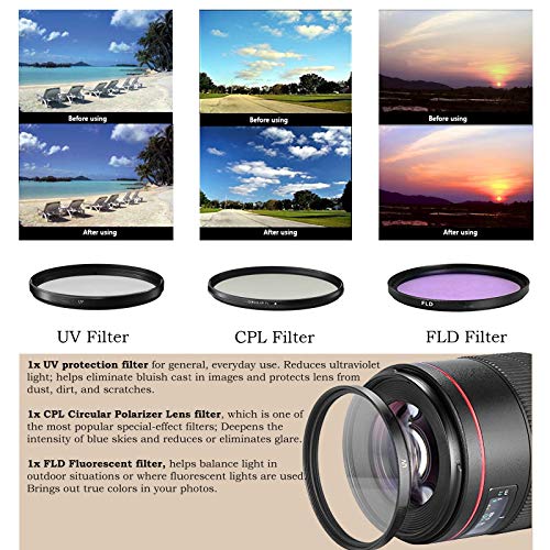 Cámara Canon EOS Rebel SL2 DSLR (Solo Cuerpo) con Accesorios miniatura 5