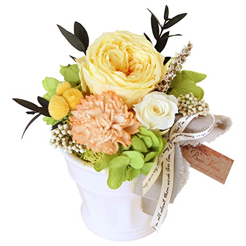 ԗR vU[uht[ pbg (A6 ~U/NAP[X) AeB[N AWg t[ j Mtg v[g o  a j ސEj