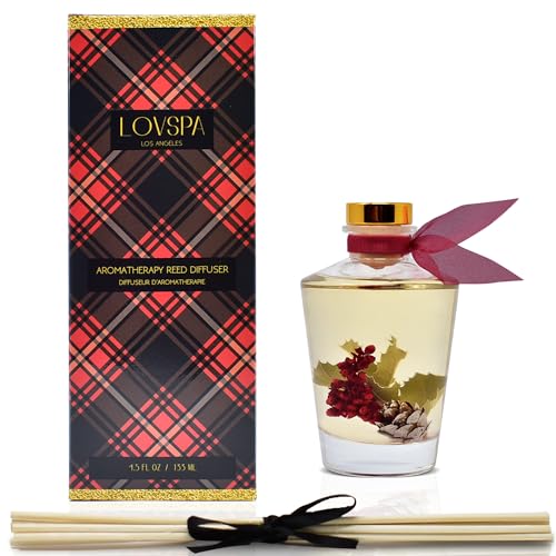 Under $10 — Holiday Red Currant & Woods Reed Diffuser Set - Image 6