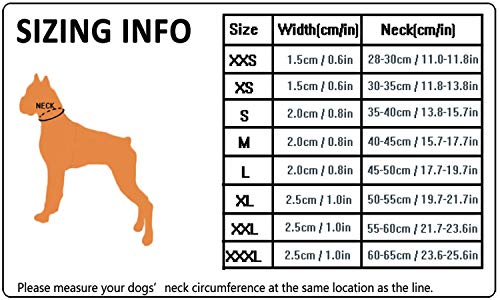 Truelove Dog Training Halsband tlc5011 Reflektierende Premium Accessoires aus Duraflex Schnalle Nylon schwarz,