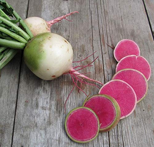 Golden Hills Farm® (AVG 500-1000) seeds RADISH GREEN ROUND SEEDS (B0861VH86S) Amazon Price History, Amazon Price Tracker