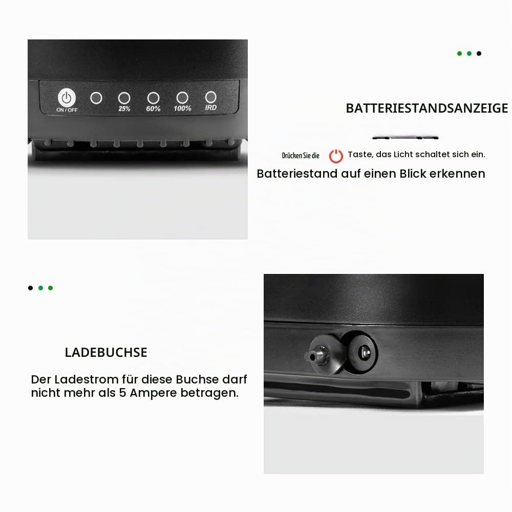 E-Bike Batterie Tianneng 36V 13Ah/16Ah TNLi ITR Pedelec Akku