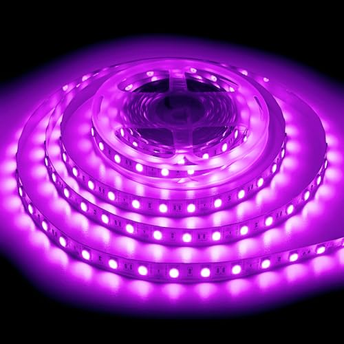 ShineBurky Ruban LED 5M Rose, 12V Bande LED 5 Mètres 300LEDs SMD5050 Bandeau Lumineux LED Strip Light Flexible pour Intérieur Extérieur Chambre TV Noël Décoration DIY (Sans Alimentation)